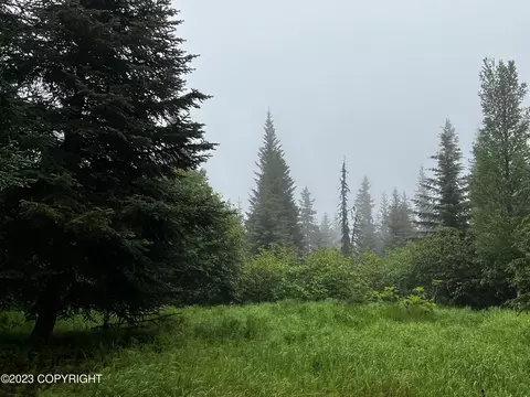 L52 Dubova Road, Nikolaevsk, AK 99556