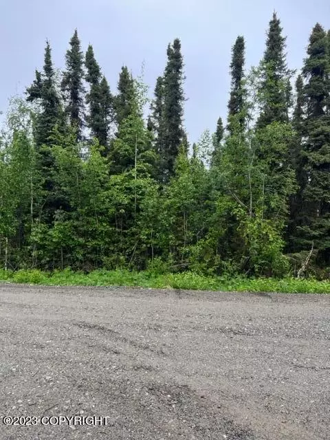 8501 W Emil Dr, Wasilla, AK 99623