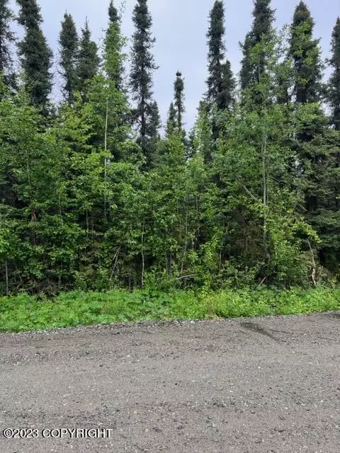 8431 W Emil Dr, Wasilla, AK 99654