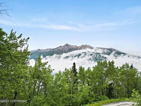 22211 Brownie Dr, Eagle River, AK 99577 photo 50
