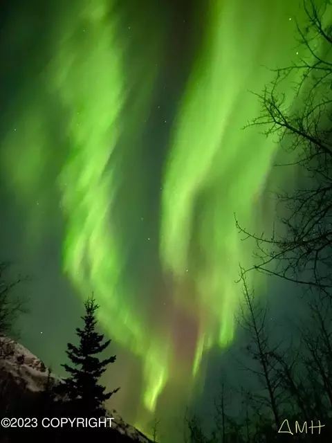 22211 Brownie Dr, Eagle River, AK 99577 photo 59