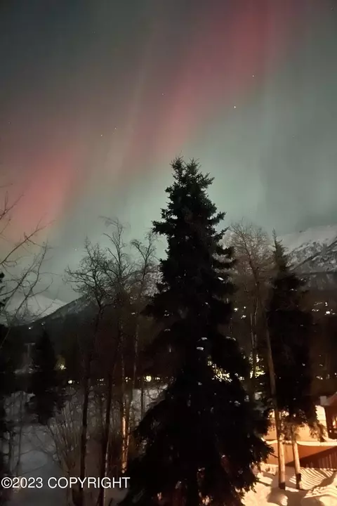 19045 Danny Dr, Eagle River, AK 99577 photo 38