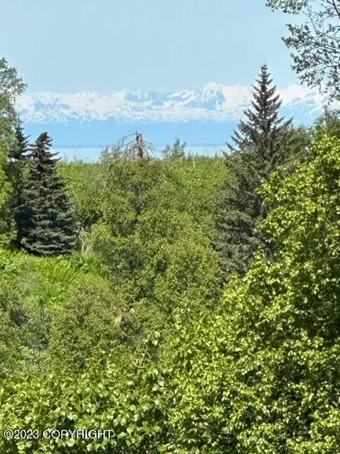 L9 B7 Hyila Lane, Ninilchik, AK 99639