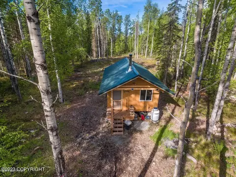 48880 S Silver Salmon Dr, Willow, AK 99688