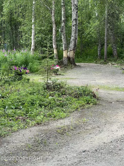 11520 N Deshka Loop, Willow, AK 99688 photo 18