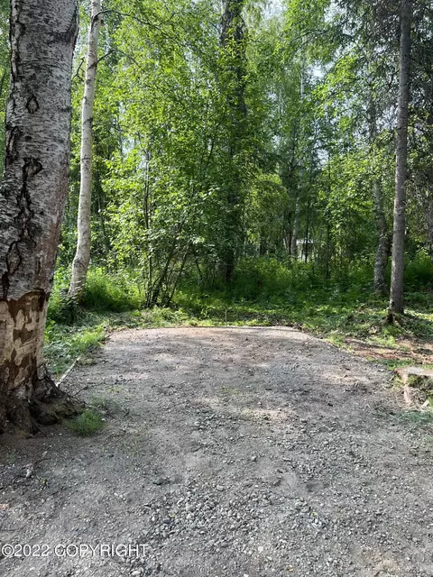 11520 N Deshka Loop, Willow, AK 99688 photo 21