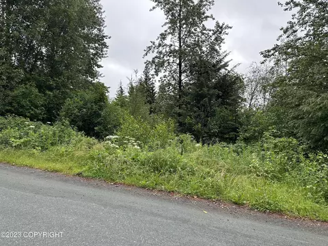 Nhn Unnamed Road, Haines, AK 99827