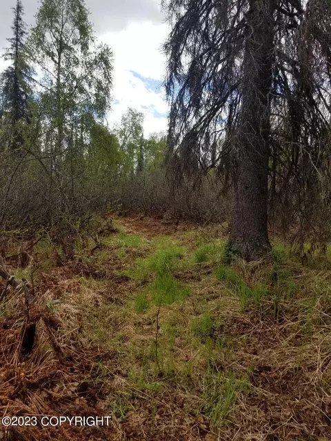 9330 S Kenny Creek Loop, Trapper Creek, AK 99683