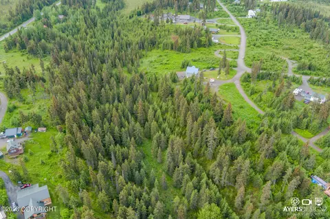 34960 Seabury Ct, Anchor Point, AK 99556
