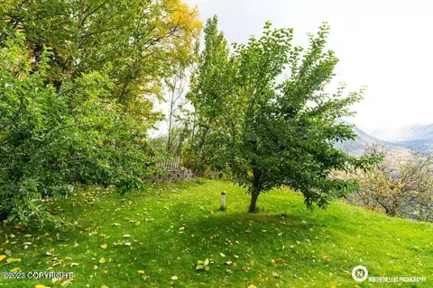 22123 Brownie Dr, Eagle River, AK 99577 photo 97
