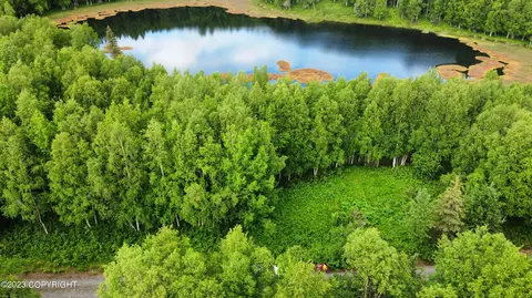 51690 Dove Ct, Nikiskinorth Kenai, AK 99635