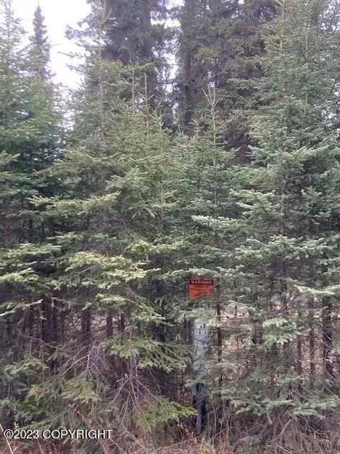 53310 Tehama Ave, Kasilof, AK 99610
