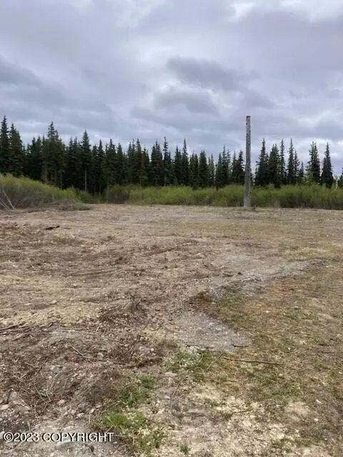 22420 Dickson St, Kasilof, AK 99610