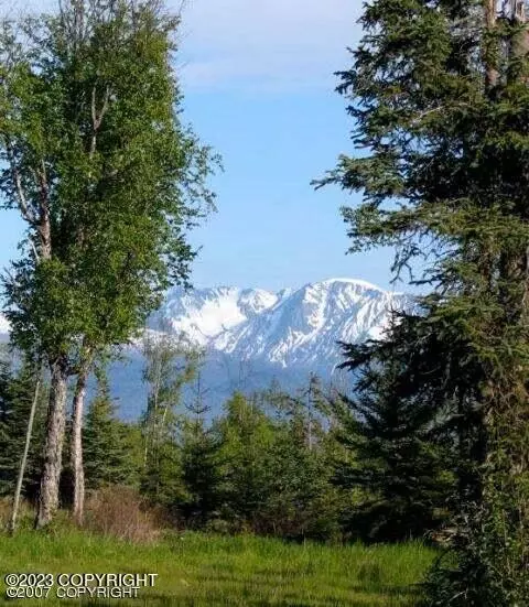 54575 Rolling Meadows Rd, Homer, AK 99603