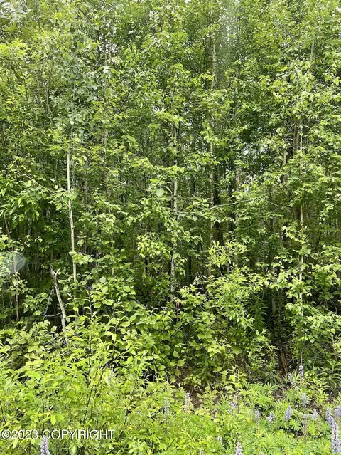 16489 Hidden Hills Rd, Willow, AK 99688