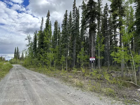 Lot 6 Asls No. 79-37, Glennallen, AK 99588