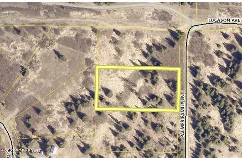 17057 Palmer Family Ln, Ninilchik, AK 99639
