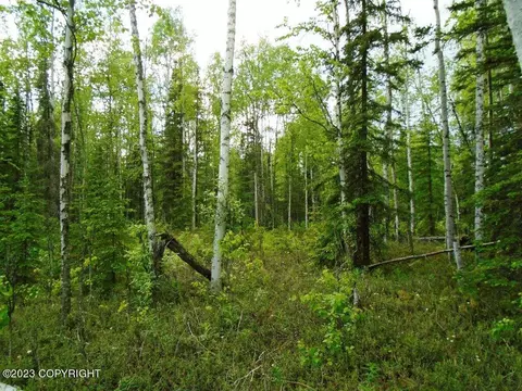 9771 W Stanley Dr, Wasilla, AK 99623