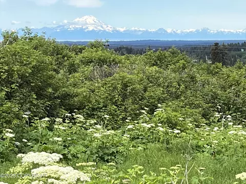 lot11 Bluff Rd, Homer, AK 99603