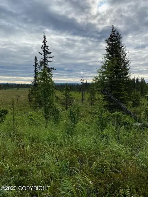 L3 Brillo Road, Anchor Point, AK 99556