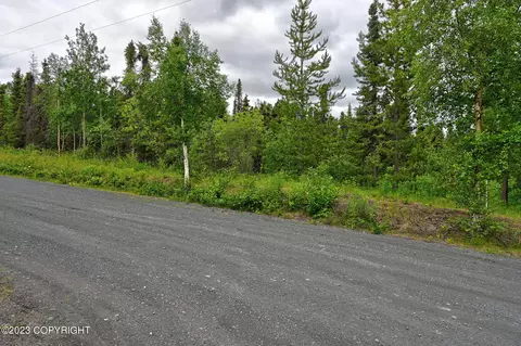 L6a Raven Street, Cooper Landing, AK 99572