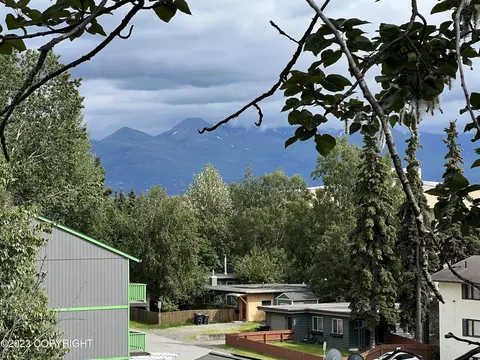 328 E 15th Ave # 3, Anchorage, AK 99501 photo 2
