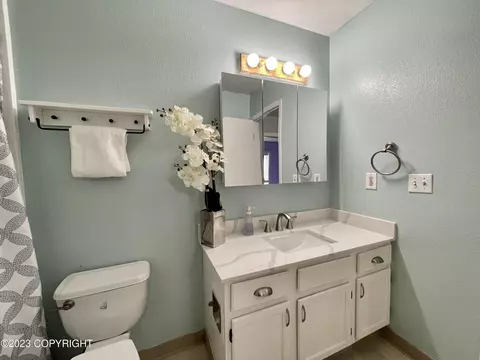 7623 Chaimi Loop, Anchorage, AK 99504 photo 9