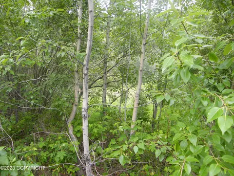 L18 B16 First Street, Chitina, AK 99566