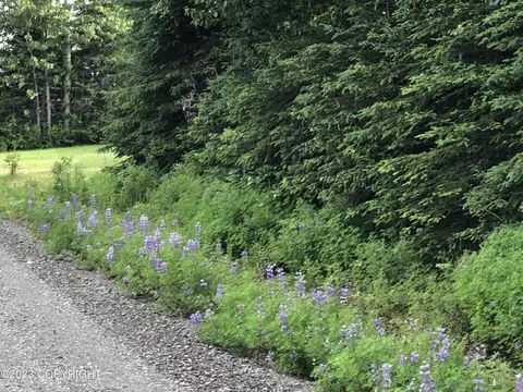 L17-18 B4 Interlake Drive, Nikiskinorth Kenai, AK 99611