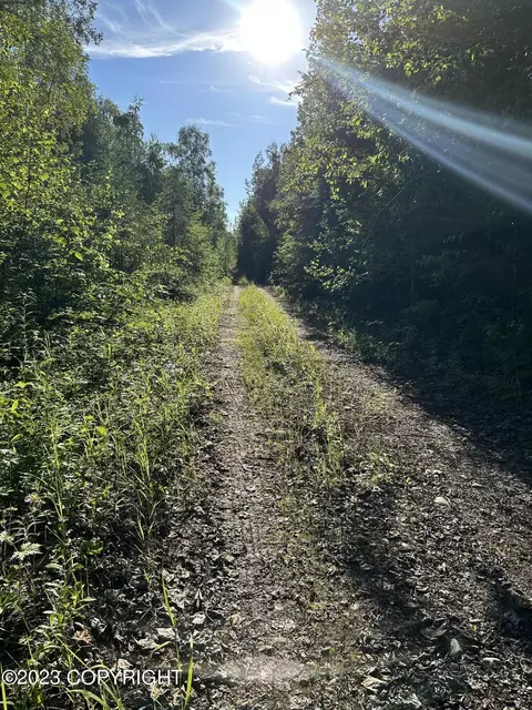 18764 E Marcus Rd, Talkeetna, AK 99676