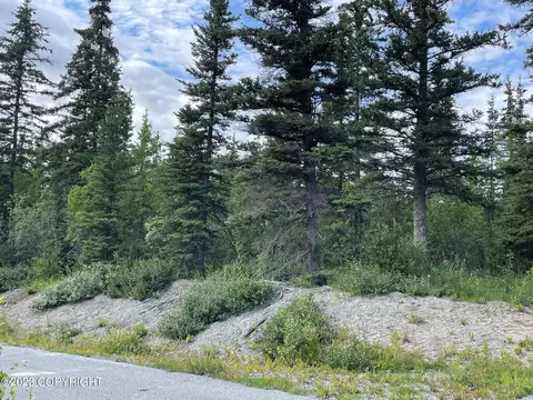 Mi 5.6 Edgerton Highway, Copper Center, AK 99573