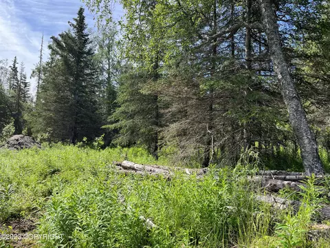 47615 Gillnet Ave, Nikiskinorth Kenai, AK 99635