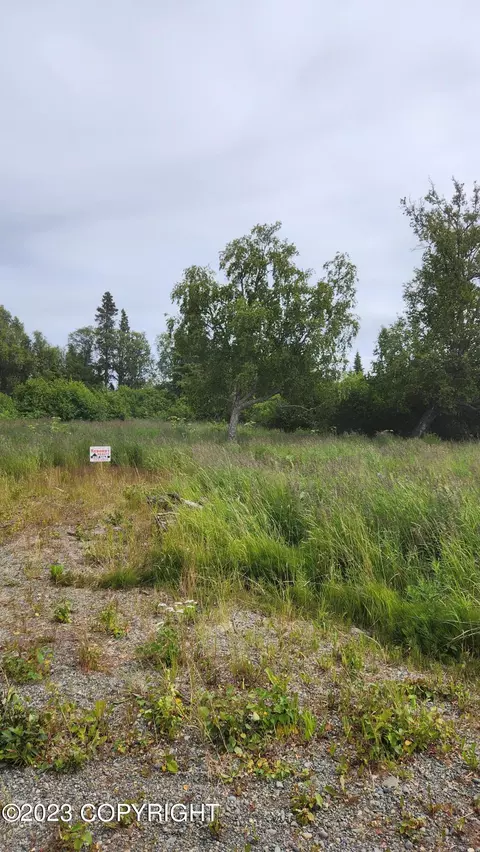 11100 Crestline Ln, Clam Gulch, AK 99568