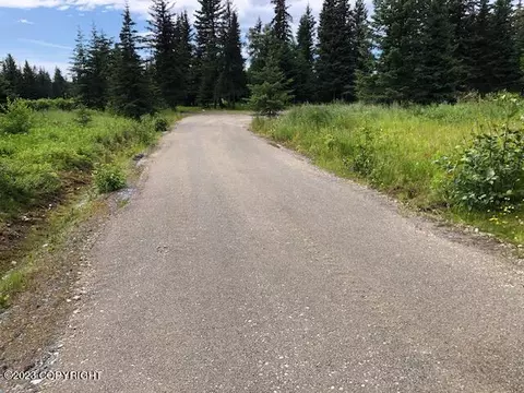 33625 Alder St, Anchor Point, AK 99556