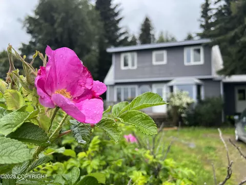 894 Lupine Ct, Homer, AK 99603