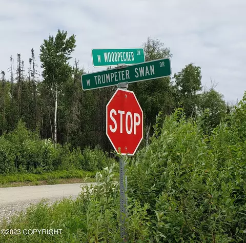 1391 W Woodpecker Cir, Wasilla, AK 99654
