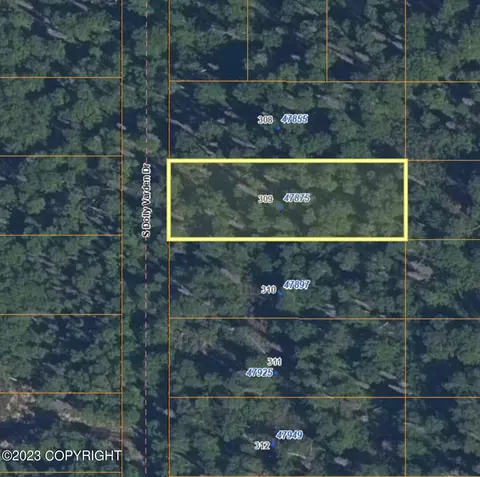 47875 S Dolly Varden Dr, Willow, AK 99688