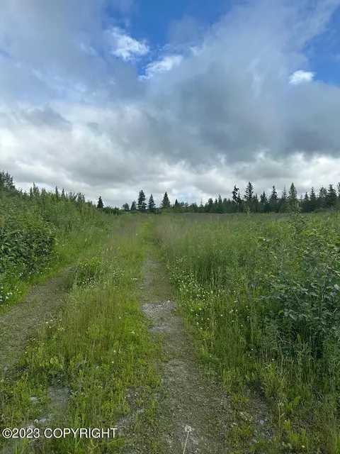 000 Dubova Rd, Anchor Point, AK 99556