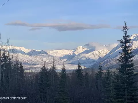 34949 W Pinochle Ln, Chickaloon, AK 99674