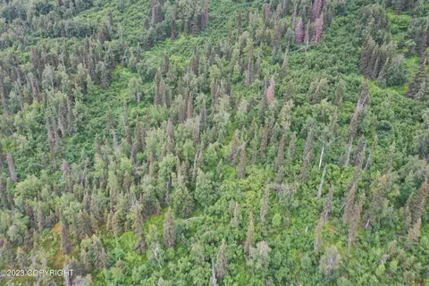 002 No Rd, Eagle River, AK 99577 photo 5