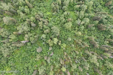 002 No Rd, Eagle River, AK 99577 photo 6