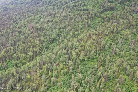 002 No Rd, Eagle River, AK 99577 photo 7