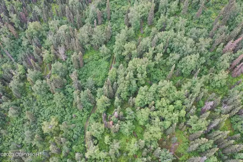 001 No Rd, Eagle River, AK 99577 photo 3