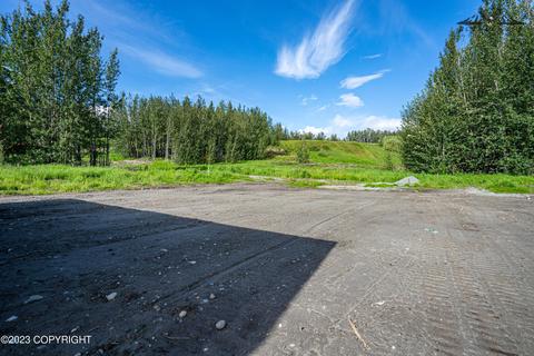 301 Eagle Ave, Palmer, AK 99645 photo 13