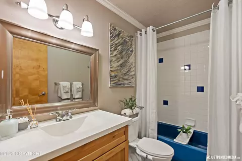 27346 Goshawk Ct, Chugiak, AK 99567 photo 32