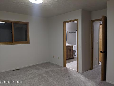 22649 Mcmanus Dr, Chugiak, AK 99567 photo 12