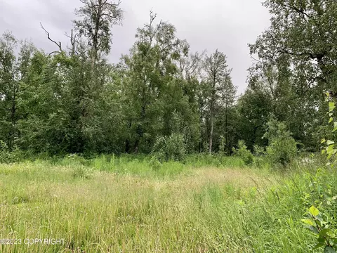 5005 N Caprice Dr, Palmer, AK 99645