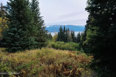 48083 Gloria Mae Ct, Homer, AK 99603