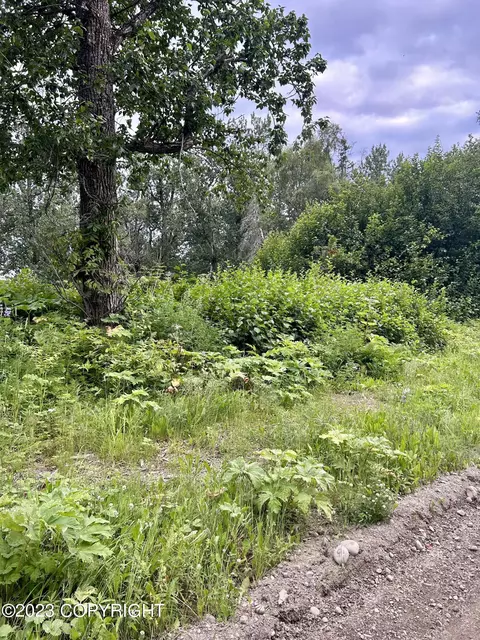 52170 Wik Rd, Nikiskinorth Kenai, AK 99635