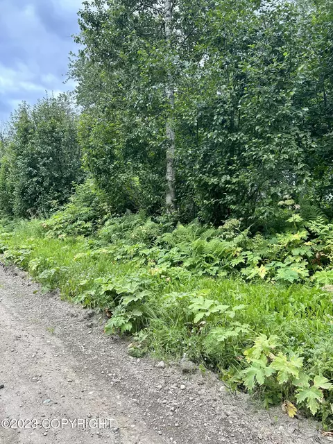 52190 Wik Rd, Nikiskinorth Kenai, AK 99635